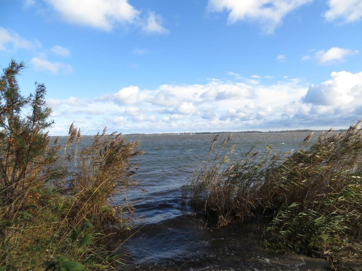 Wohnung am Bodden Wiek auf Rügen Exterior foto