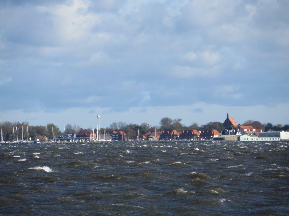 Wohnung am Bodden Wiek auf Rügen Exterior foto